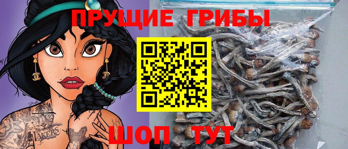 Псилоцибиновые грибы мухоморы Тайшет