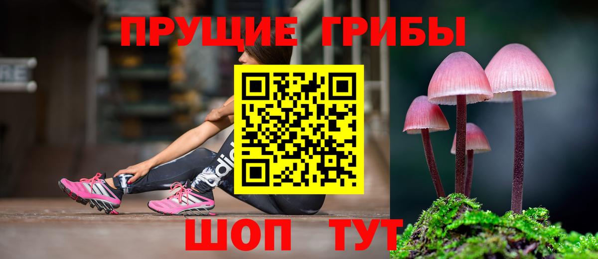 наркота  Вход с VPN  Тайшет  Галлюциногенные грибы GOLDEN TEACHER 