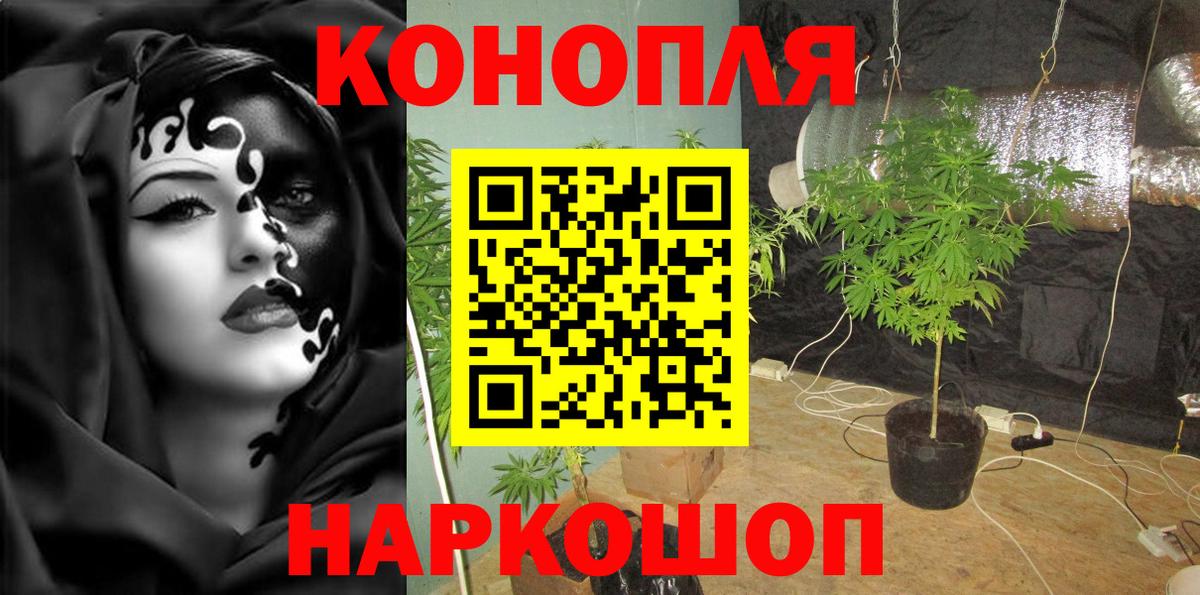 Бошки Шишки THC 21% Тайшет